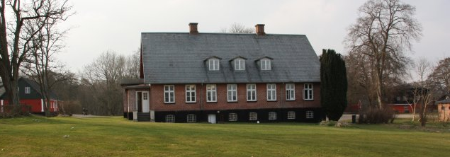 sally lightfoot crab